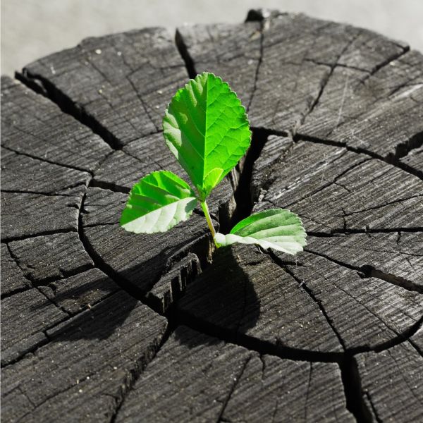 Subconscious mind insight